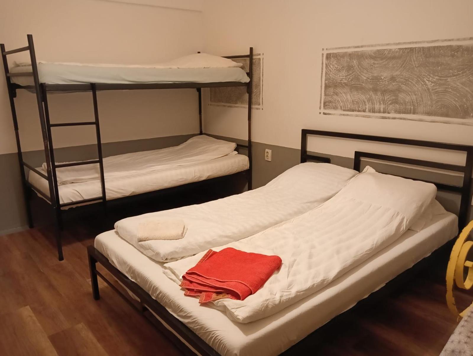 Zen Hostel Cluj Napoca Bagian luar foto