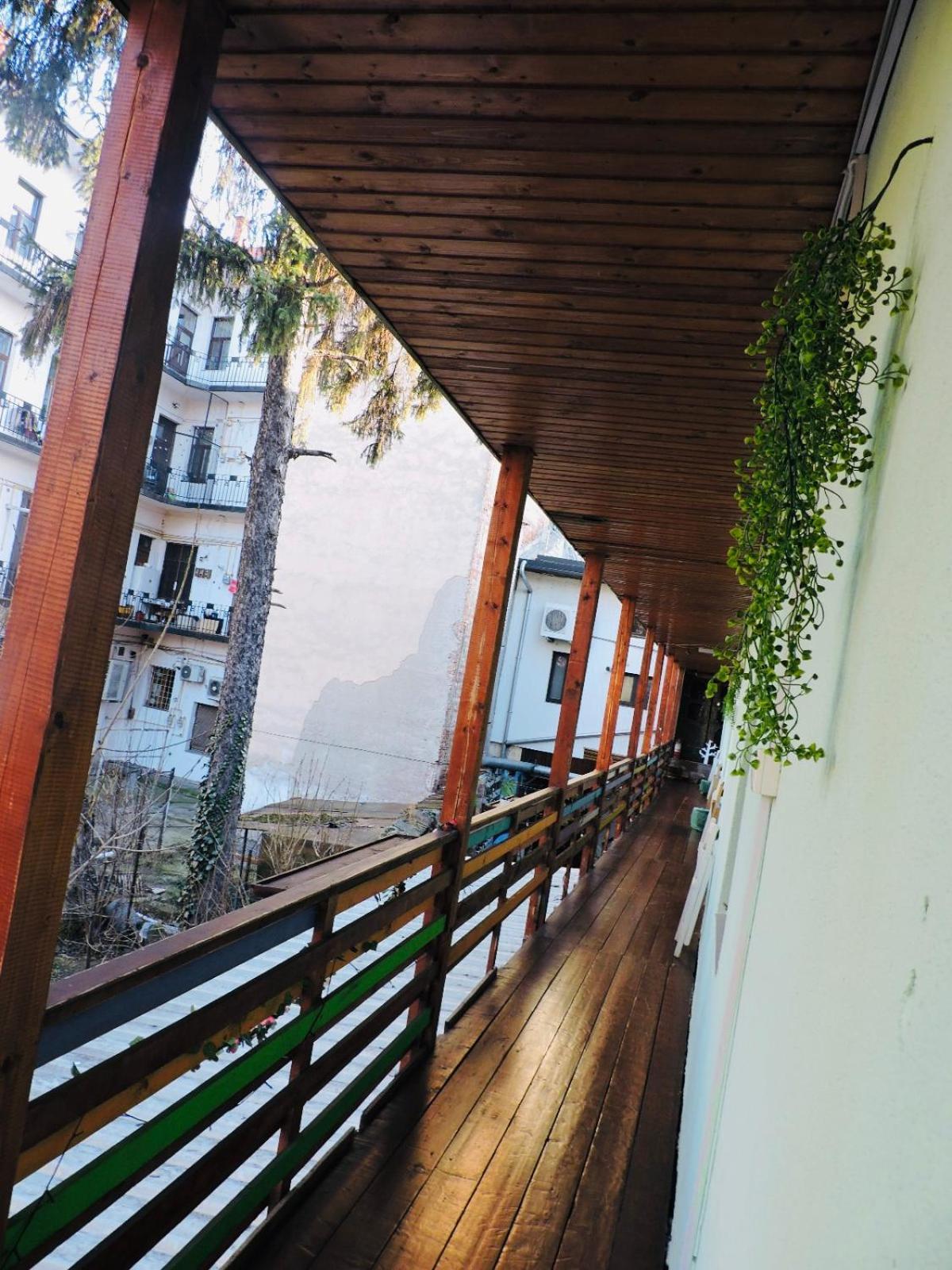 Zen Hostel Cluj Napoca Bagian luar foto